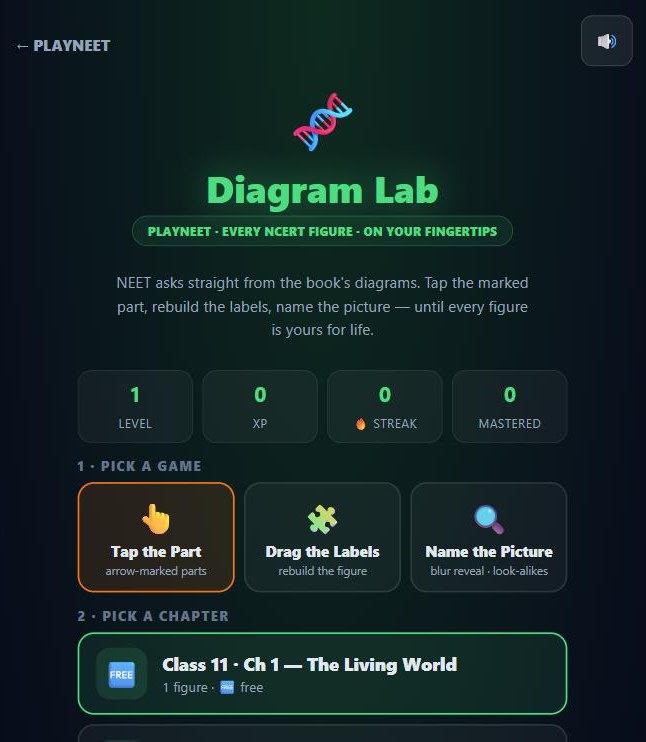 Diagram Lab on PlayNEET — a real screen from the live platform